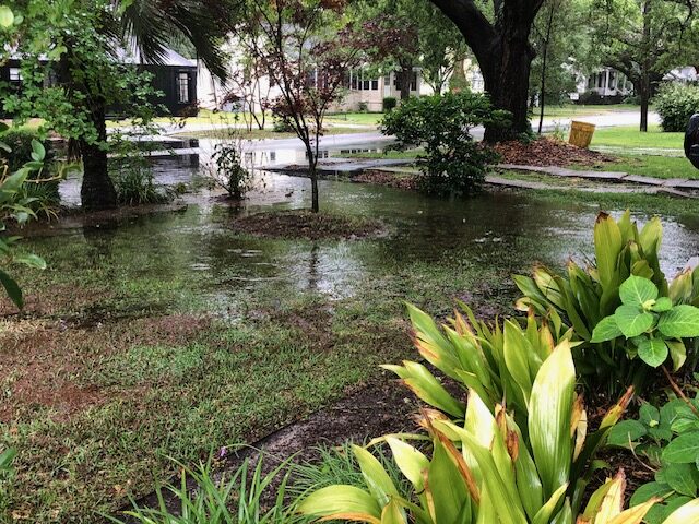 NF 38_West Ashley_Avondale